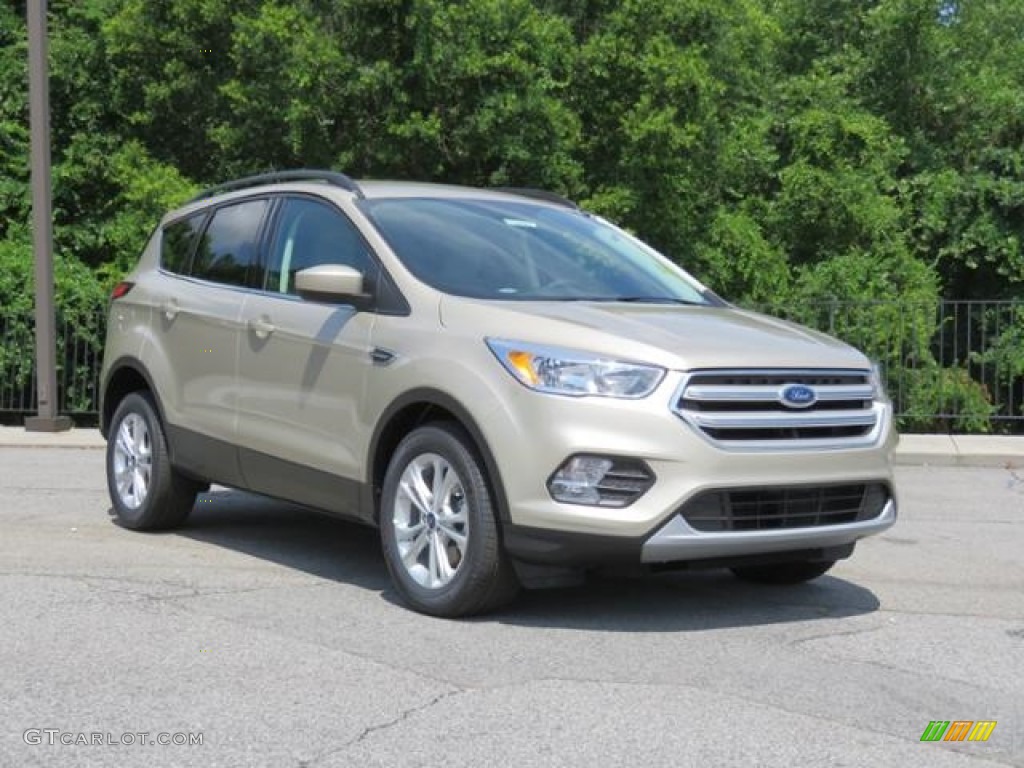 White Gold Ford Escape