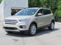 2018 White Gold Ford Escape SE  photo #3