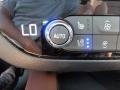 Ebony Twilight Metallic - Enclave Avenir AWD Photo No. 19