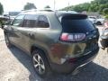 2019 Olive Green Pearl Jeep Cherokee Limited 4x4  photo #3