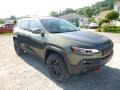 Olive Green Pearl 2019 Jeep Cherokee Trailhawk 4x4 Exterior