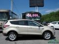 2018 White Gold Ford Escape SE  photo #6