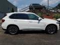 Alpine White - X5 xDrive35i Photo No. 6