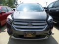 2018 Magnetic Ford Escape SEL  photo #2
