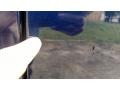 True Blue Pearl - Grand Caravan SE Photo No. 13