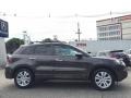 Grigio Metallic - RDX SH-AWD Photo No. 2