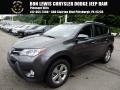 Magnetic Gray Metallic - RAV4 XLE Photo No. 1