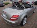 2006 Pewter Metallic Mercedes-Benz SLK 350 Roadster  photo #13