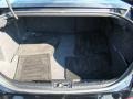 Black Clearcoat - Zephyr  Photo No. 10