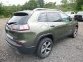 2019 Olive Green Pearl Jeep Cherokee Limited 4x4  photo #5