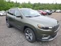 2019 Olive Green Pearl Jeep Cherokee Limited 4x4  photo #7