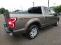 Stone Gray - F150 XLT SuperCrew 4x4 Photo No. 3