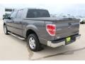 Sterling Gray Metallic - F150 XLT SuperCrew Photo No. 6