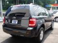 2008 Black Pearl Slate Metallic Ford Escape XLT V6  photo #4