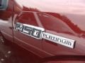 2009 Royal Red Metallic Ford F150 Platinum SuperCrew 4x4  photo #5