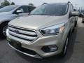 2018 White Gold Ford Escape SE  photo #1