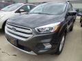 2018 Magnetic Ford Escape SEL  photo #1