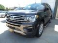 Magnetic 2018 Ford Expedition XLT 4x4