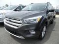 2018 Magnetic Ford Escape SEL  photo #1