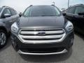 2018 Magnetic Ford Escape SEL  photo #2