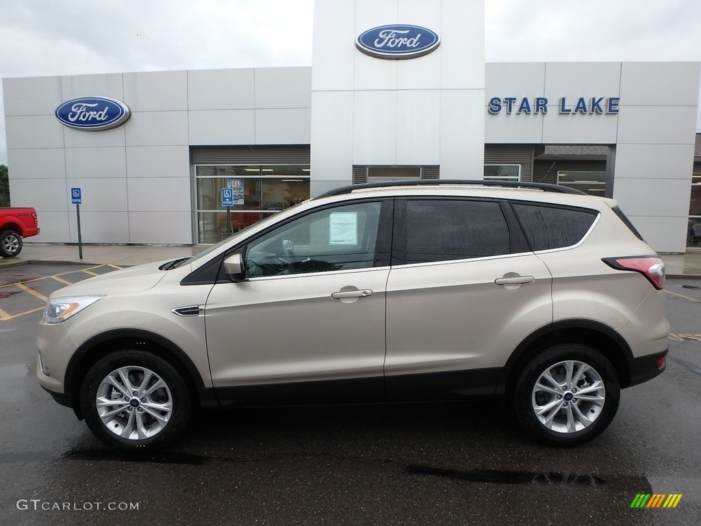 White Gold Ford Escape