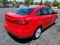 Race Red - Focus SE Sedan Photo No. 7