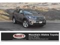 Predawn Gray Mica - Highlander Limited AWD Photo No. 1