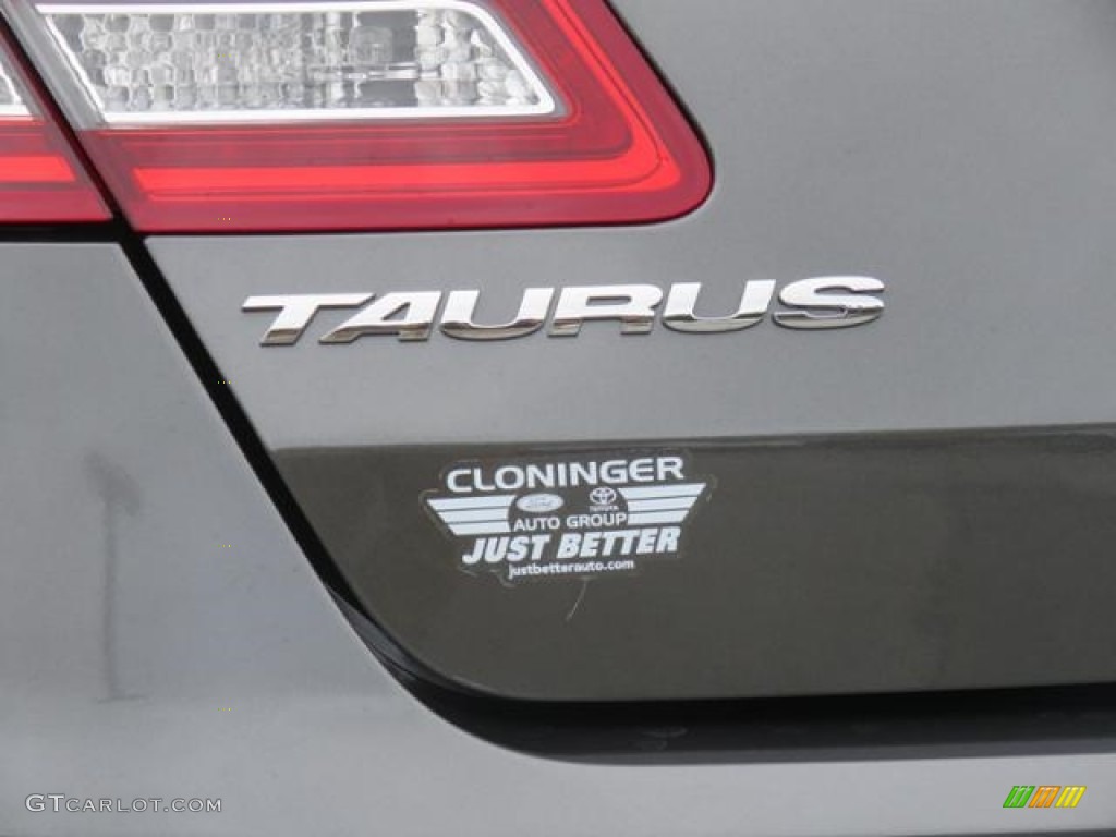 2018 Taurus SE - Magnetic / Dune photo #23