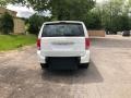 Stone White - Grand Caravan SE Photo No. 4