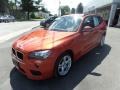 Marrakesh Brown Metallic - X1 xDrive28i Photo No. 3