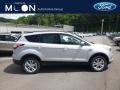 Ingot Silver - Escape SE 4WD Photo No. 1