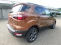 2018 Canyon Ridge Ford EcoSport SES 4WD  photo #3