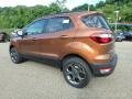 2018 Canyon Ridge Ford EcoSport SES 4WD  photo #6