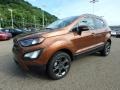 2018 Canyon Ridge Ford EcoSport SES 4WD  photo #8