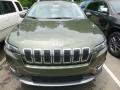 2019 Olive Green Pearl Jeep Cherokee Limited 4x4  photo #7