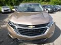 2019 Sandy Ridge Metallic Chevrolet Equinox LT AWD  photo #8