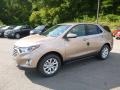 2019 Sandy Ridge Metallic Chevrolet Equinox LT AWD  photo #1