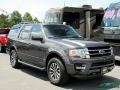 Magnetic - Expedition XLT 4x4 Photo No. 6