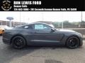 Lead Foot Gray - Mustang Shelby GT350 Photo No. 1