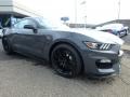 Lead Foot Gray - Mustang Shelby GT350 Photo No. 8