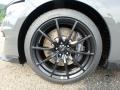 2018 Ford Mustang Shelby GT350 Wheel and Tire Photo