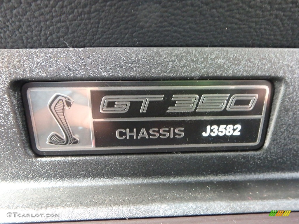 2018 Mustang Shelby GT350 - Lead Foot Gray / GT350 Ebony Recaro Cloth/Miko Suede photo #20