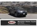 2018 Magnetic Gray Metallic Toyota RAV4 LE  photo #1