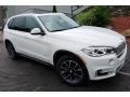 Alpine White - X5 xDrive35i Photo No. 1