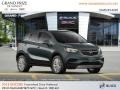 Graphite Gray Metallic - Encore Preferred Photo No. 4