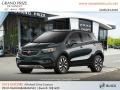 Graphite Gray Metallic 2018 Buick Encore Essence AWD