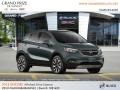 Graphite Gray Metallic - Encore Essence AWD Photo No. 4