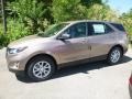 Sandy Ridge Metallic - Equinox LS AWD Photo No. 2