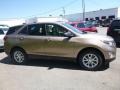 Sandy Ridge Metallic - Equinox LS AWD Photo No. 6
