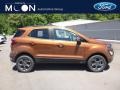 2018 Canyon Ridge Ford EcoSport SES 4WD  photo #1